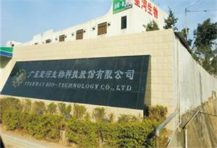 廣東星河生物科技股份有限公司
