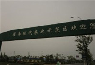 湖南現代産業示範區