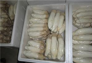 菇類包裝箱