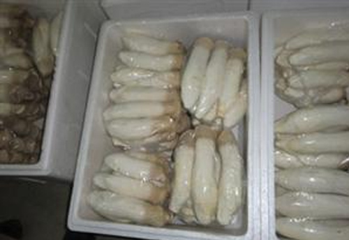菇類包裝箱
