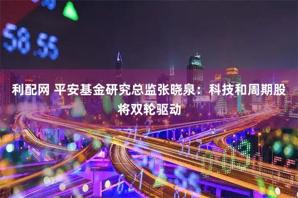利配网 平安基金研究总监张晓泉：科技和周期股将双轮驱动