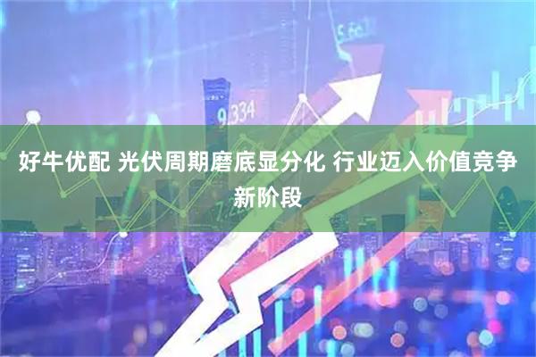 好牛优配 光伏周期磨底显分化 行业迈入价值竞争新阶段